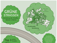 'Straßenbäume in Berlin' von Luise Leffmann (WiSe 2021/22)