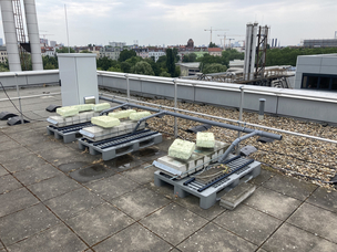 Auslagerungsstand Korrosion von Stahl in Beton