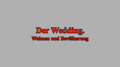 Florian Sahl & Johannes Knoch: Der Wedding. Wohnen und Bevölkerung