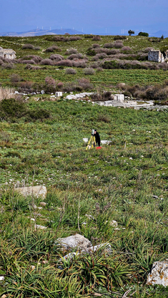 WhatsApp_Image_2026-03-19_at_19