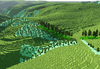 Steven Leuthold: Transformation und Überarbeitung des virtuellen Nationalparks Eifel