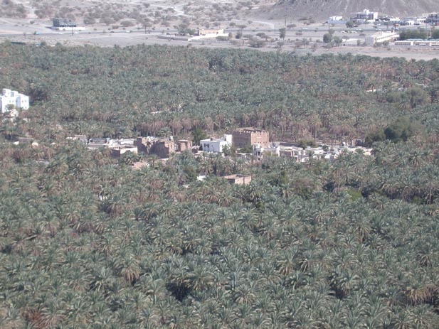 View on the old settlement of 'Alayat Ibra' form south-west © 2003 DAI, Orient - Abteilung