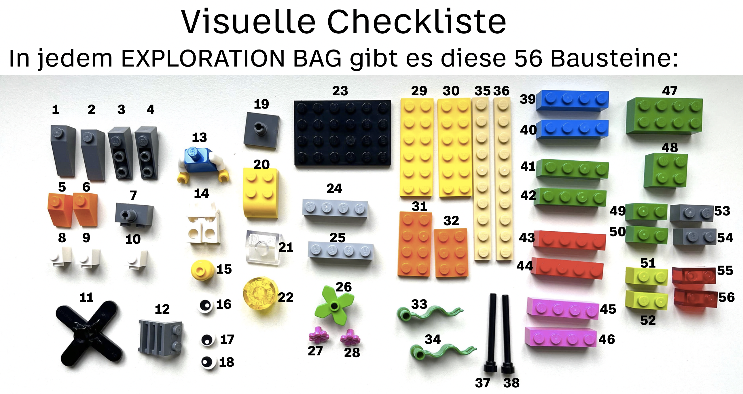 LSP_visuelle_Checkliste